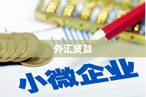 全椒外汇贷款