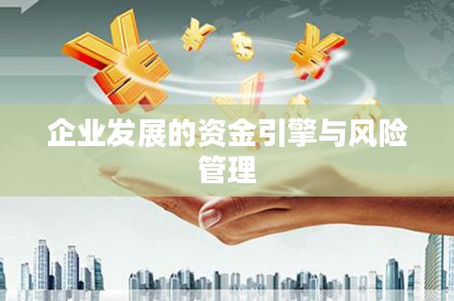 兴国企业发展的资金引擎与风险管理