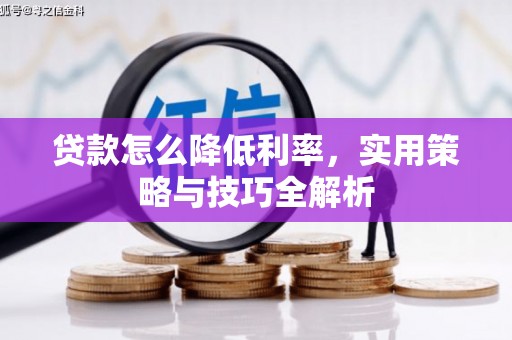 西昌贷款怎么降低利率，实用策略与技巧全解析