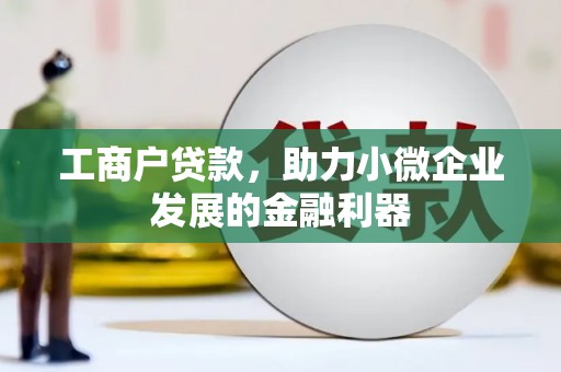 那曲工商户贷款，助力小微企业发展的金融利器