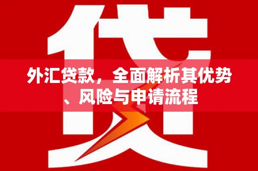 水富外汇贷款，全面解析其优势、风险与申请流程