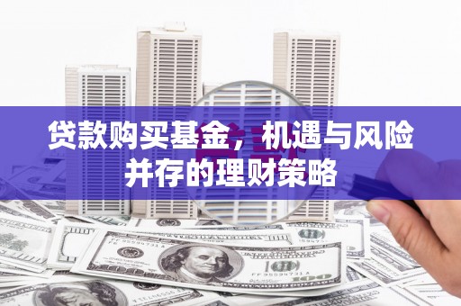 兰西贷款购买基金，机遇与风险并存的理财策略