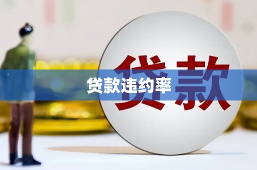 海州贷款违约率