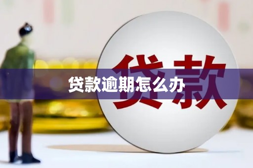安定贷款逾期怎么办