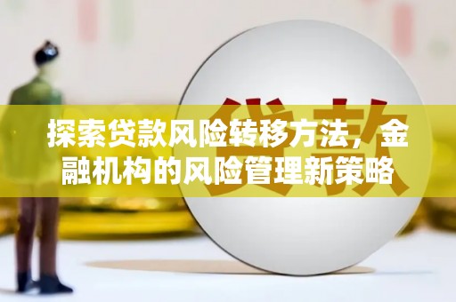 学甲探索贷款风险转移方法，金融机构的风险管理新策略