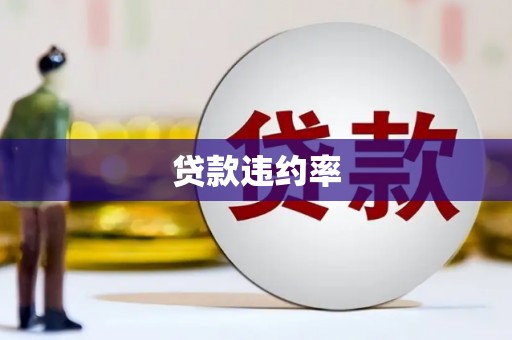 小金贷款违约率