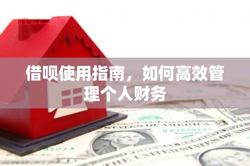 泾河借呗使用指南，如何高效管理个人财务