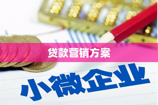徐水贷款营销方案