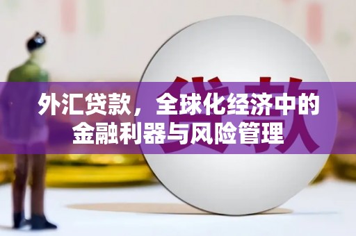 吴桥外汇贷款，全球化经济中的金融利器与风险管理