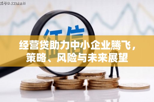 花莲经营贷助力中小企业腾飞，策略、风险与未来展望