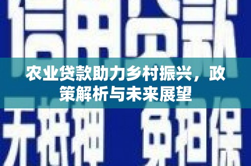 五股农业贷款助力乡村振兴，政策解析与未来展望