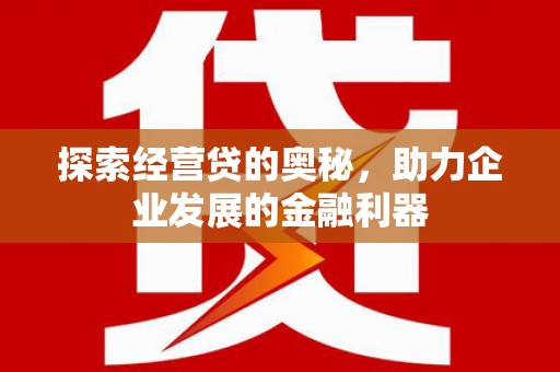 定海探索经营贷的奥秘，助力企业发展的金融利器