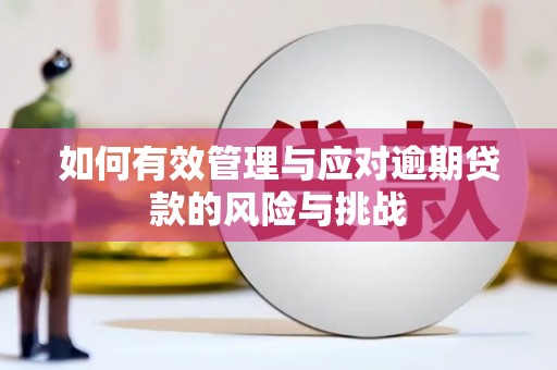 神农架如何有效管理与应对逾期贷款的风险与挑战