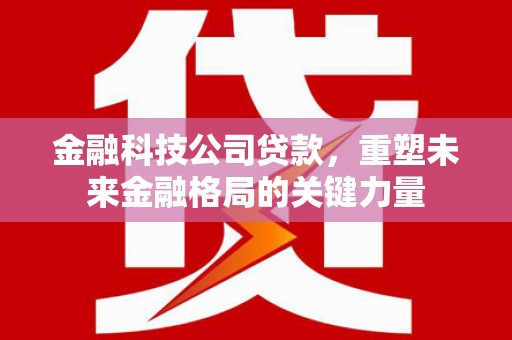 沈河金融科技公司贷款，重塑未来金融格局的关键力量