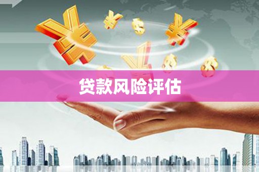 莱西贷款风险评估
