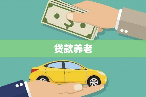二水贷款养老