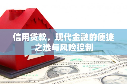 民和信用贷款，现代金融的便捷之选与风险控制