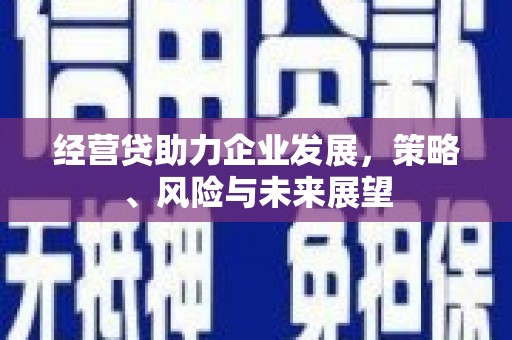 西吉经营贷助力企业发展，策略、风险与未来展望