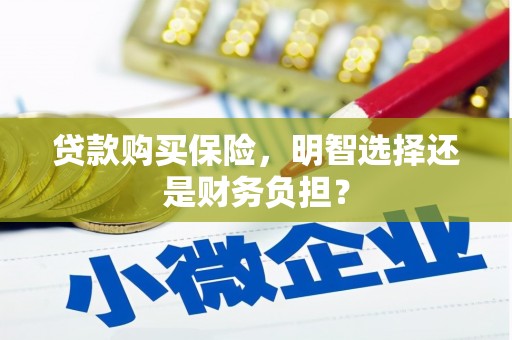 南丹贷款购买保险，明智选择还是财务负担？