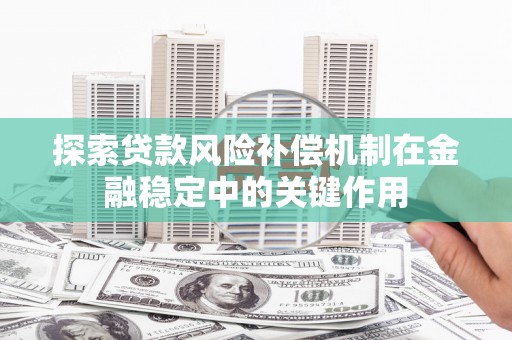 中和探索贷款风险补偿机制在金融稳定中的关键作用