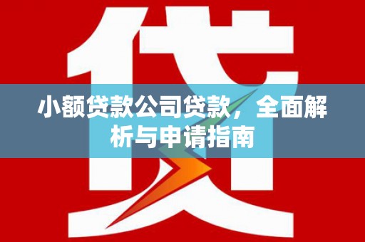 乐东小额贷款公司贷款，全面解析与申请指南