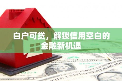 海兴白户可贷，解锁信用空白的金融新机遇