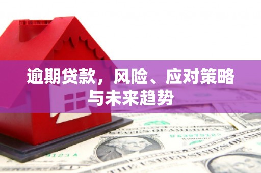 孝感逾期贷款，风险、应对策略与未来趋势