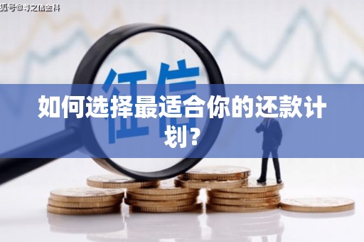林州如何选择最适合你的还款计划？