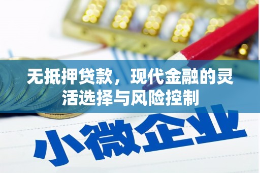 岳麓无抵押贷款，现代金融的灵活选择与风险控制