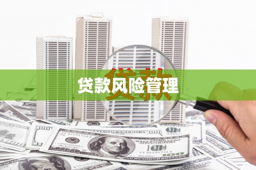 雷州贷款风险管理