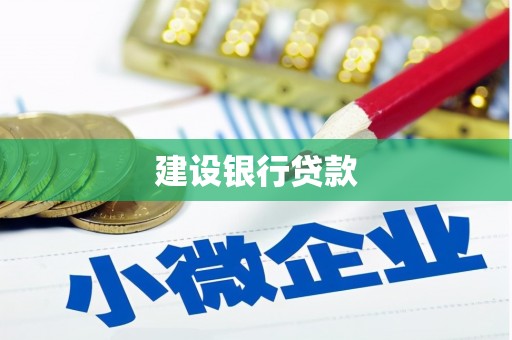 娄星建设银行贷款