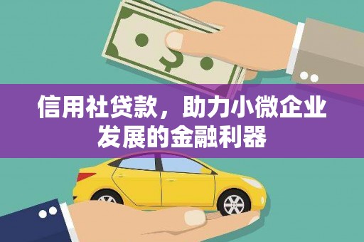 弥陀信用社贷款，助力小微企业发展的金融利器