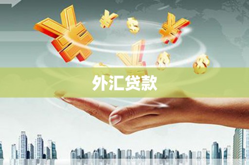 临沭外汇贷款