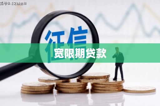 龙山宽限期贷款