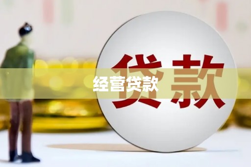 德钦经营贷款