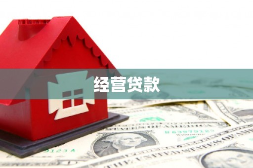 临安经营贷款