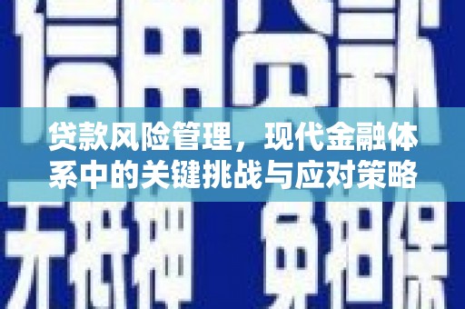 溆浦贷款风险管理，现代金融体系中的关键挑战与应对策略