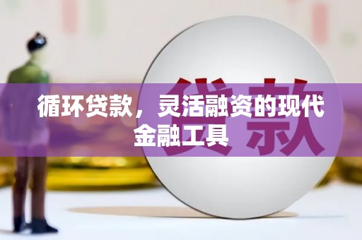 普陀循环贷款，灵活融资的现代金融工具