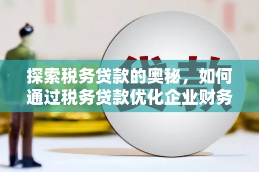 田林探索税务贷款的奥秘，如何通过税务贷款优化企业财务