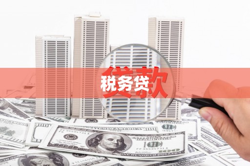 滦平税务贷