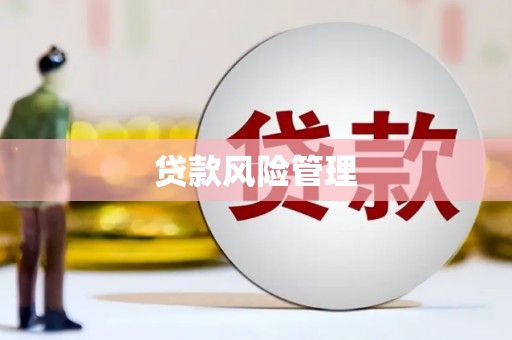 王益贷款风险管理