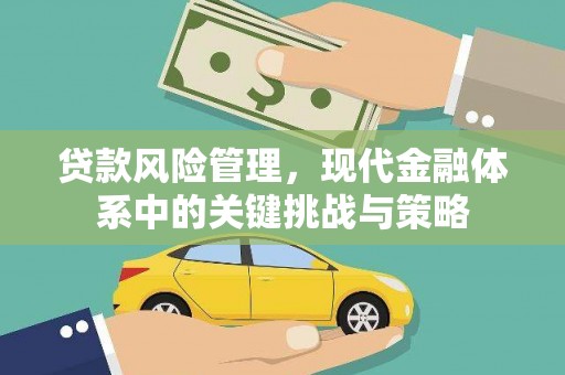 玄武贷款风险管理，现代金融体系中的关键挑战与策略