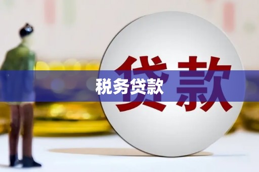 张店税务贷款