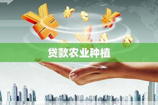 中宁贷款农业种植