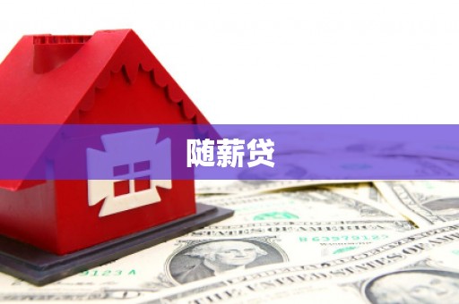 汉南随薪贷