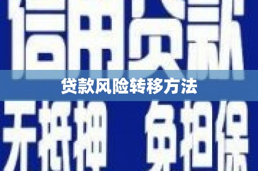 南涧贷款风险转移方法