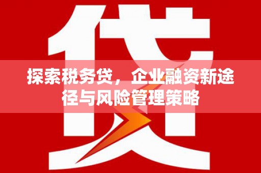 礼县探索税务贷，企业融资新途径与风险管理策略