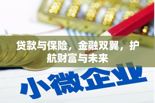 马龙贷款与保险，金融双翼，护航财富与未来