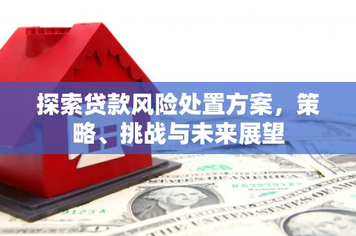 三角探索贷款风险处置方案，策略、挑战与未来展望