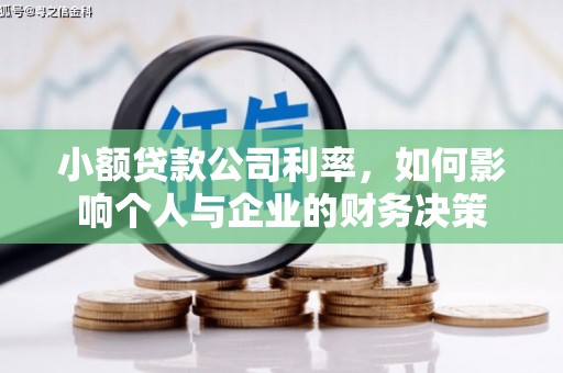 湖滨小额贷款公司利率，如何影响个人与企业的财务决策